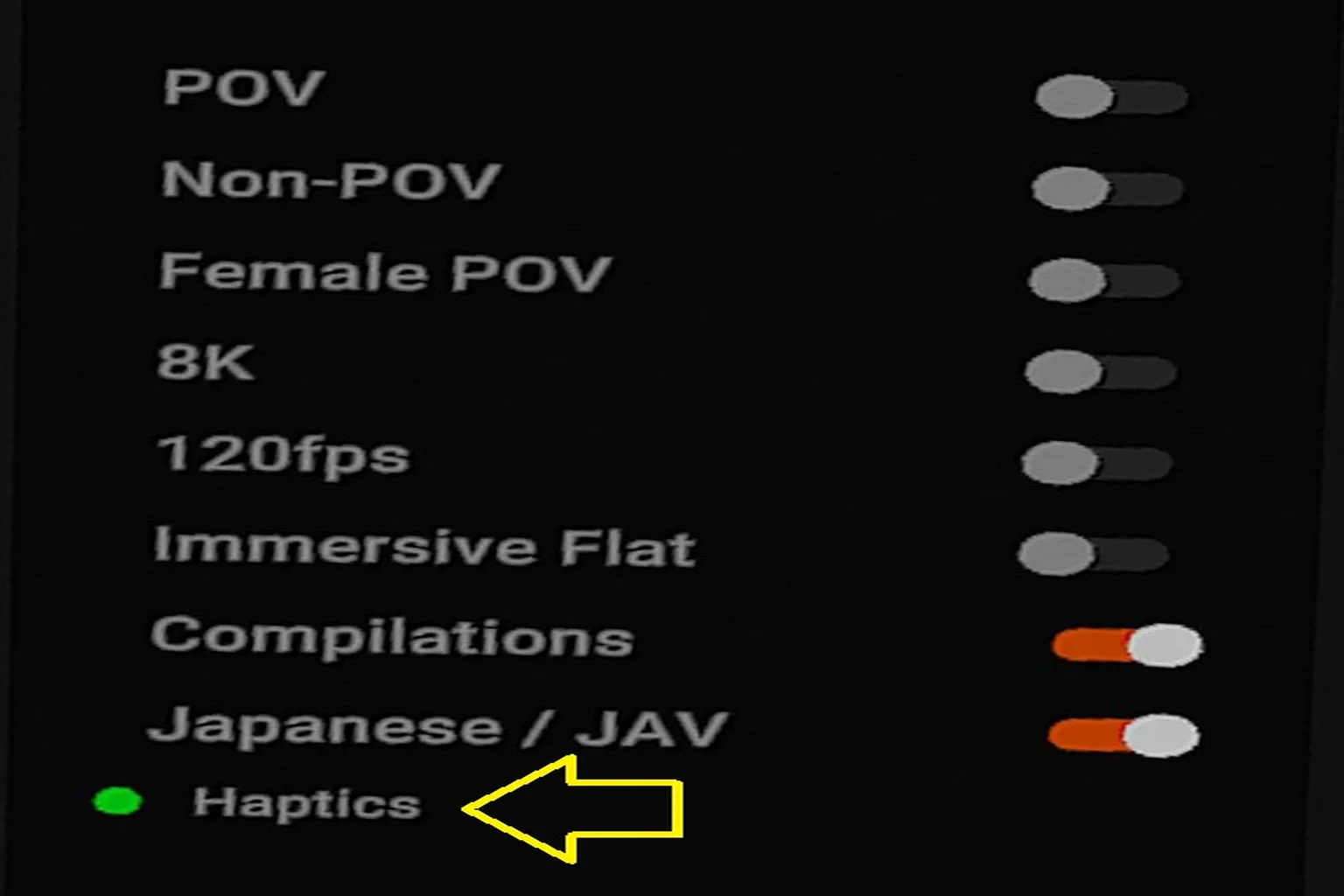 Menu de filtres DeoVR montrant l’option Haptics activée.