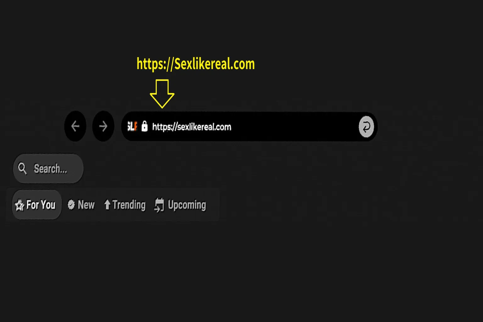 Saisie de l’adresse SexLikeReal dans le navigateur DeoVR
