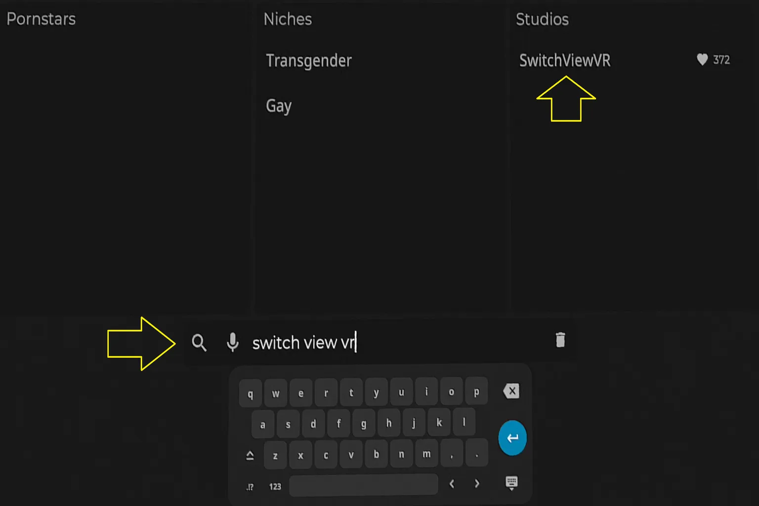 Recherche texte dans SexLikeReal avec exemple SwitchViewVR et résultat de studio affiché
