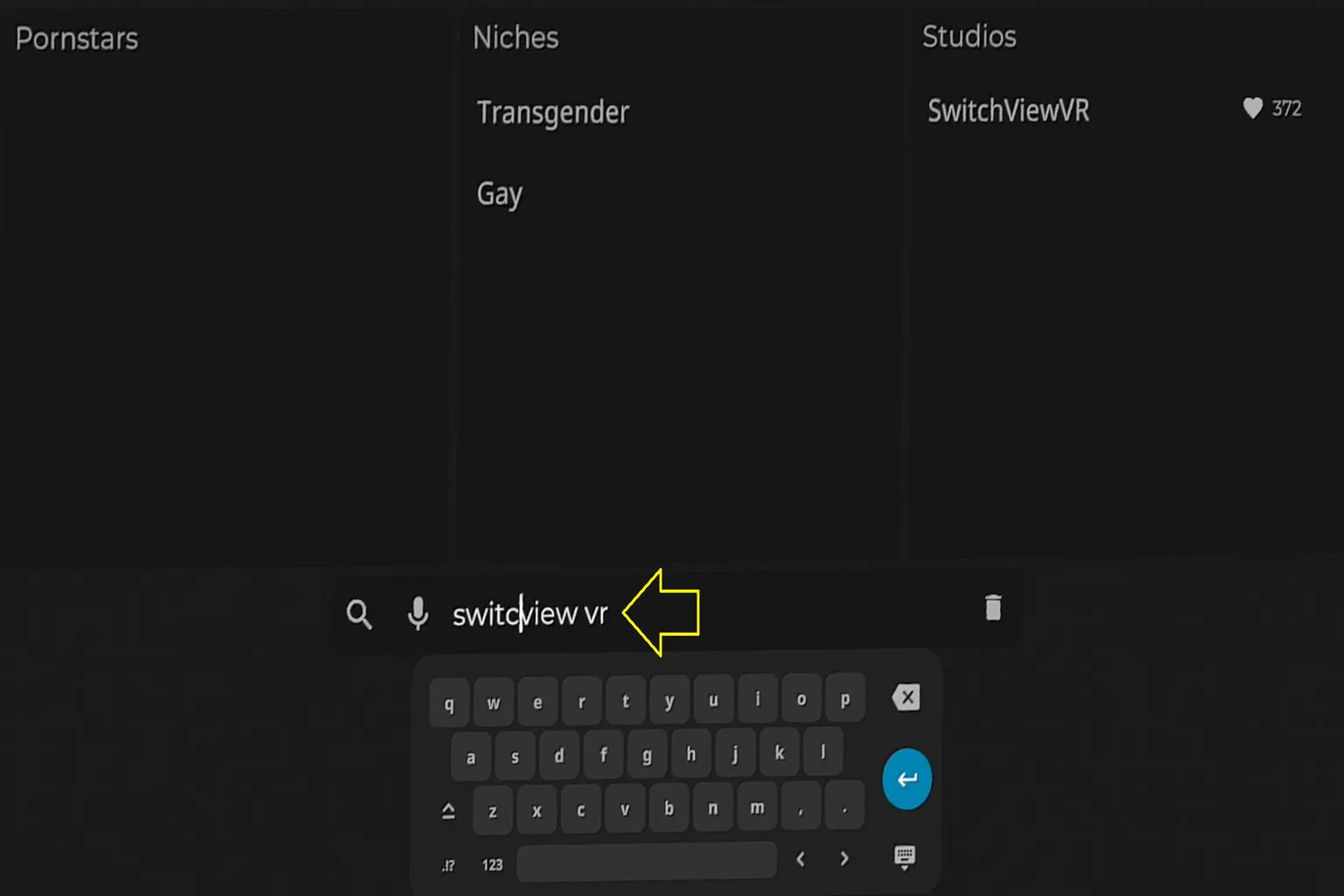 Exemple de recherche SexLikeReal avec faute de frappe acceptée pour trouver SwitchViewVR